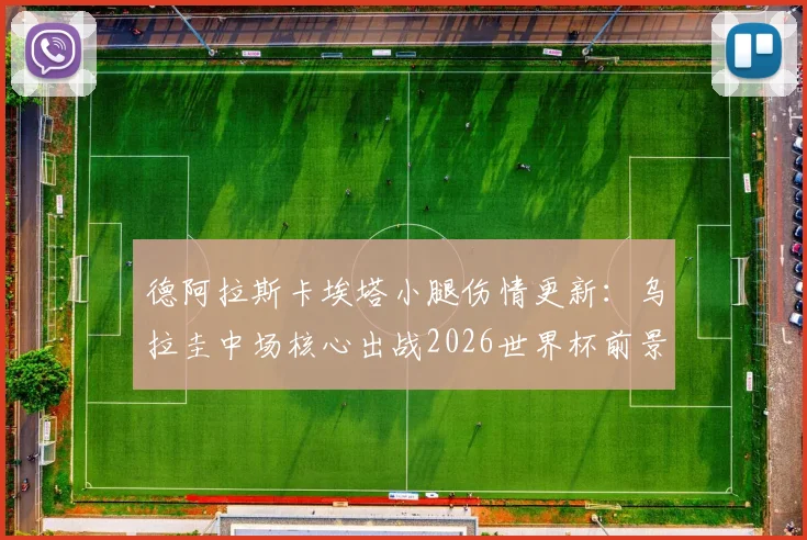 德阿拉斯卡埃塔小腿伤情更新：乌拉圭中场核心出战2026世界杯前景深度分析，附最新官方伤情评估与球队影响解读