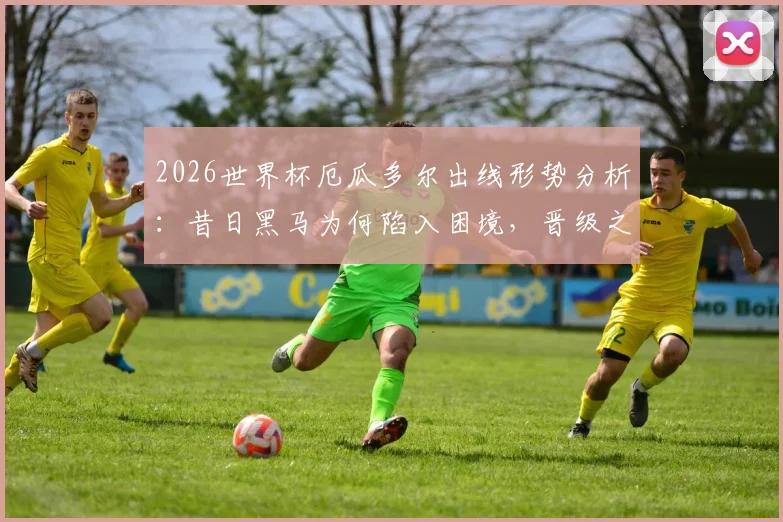 2026世界杯厄瓜多尔出线形势分析：昔日黑马为何陷入困境，晋级之路关键点剖析