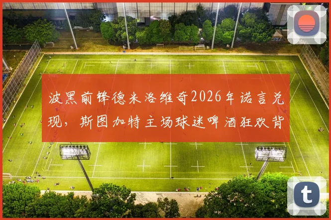 波黑前锋德米洛维奇2026年诺言兑现,斯图加特主场球迷啤酒狂欢背后的承诺故事